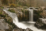 Cenarth Falls