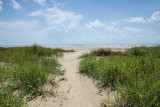 My Path to the Beach