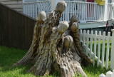 Jellyfish Tree Sculpture