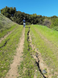 Calero County Park At Casa Loma Entrance - 03/31/20