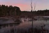 Icy Blush