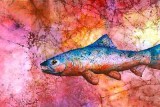 Red Survival Fish