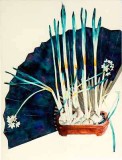 Paperwhite Narcissus and Fan