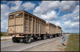 Truck-train with sugarcane - Granma