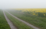 Fog near Össby