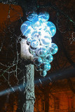 Winter Glow-27.jpg