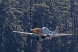 Charlotte's Chariot II (P-51D)