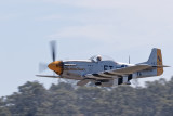 Charlotte's Chariot II (P-51D)