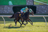 Near the finish