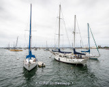Sailboats