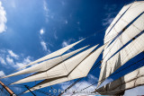 Sails and sky