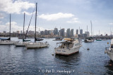 Boats in the bay