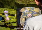 Painting lilies