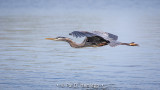Low flight