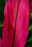 Red, naturally