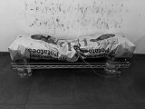 Monochromes
