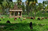 Vittala Temple complex - India-1-9661