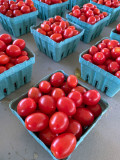 07-06 Grape tomatoes i4974