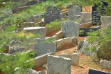Muslim cemetery - India-2-0555