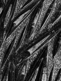 02-27 i8431bw