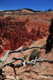 Utah15-9022