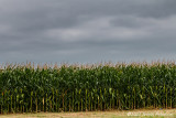Iowa Images