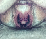 Sbytorp Vstmanland 20.6-19 epigyne adult female
