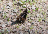 Lillsved Uppland 13.7-21