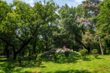 timisoara-parc-botanic_08.jpg