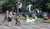 timisoara_04.JPG
