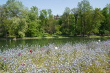 Sony-16-70mm-za-oss-test_82.JPG