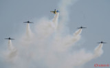 bias-2019-baltic-bees_03.JPG