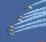 bias-2019-baltic-bees_19.JPG