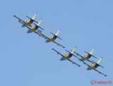 bias-2019-baltic-bees_28.JPG