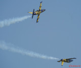 bias-2019-baltic-bees_54.JPG