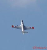 bias-2019-L29-Delifin_06.JPG
