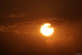sony-fe-200-600mm-g-oss-sunset.JPG