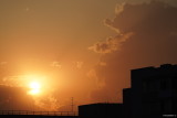 sony-fe-200-600mm-g-oss-sunset_03.JPG