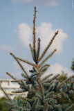 sony-fe-200-600mm-review_03.JPG