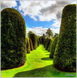 Topiary Garden