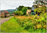 Countrylife