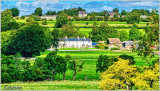 Countrylife