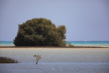 Marsa Alam april 2019