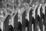 0T5A4576 Sullivans Island fence.jpg