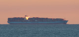 EE5A9386 Sun glinting off Maersk.jpg