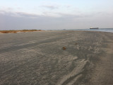 east beach Galveston up the ship channel IMG2239.JPG