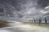 Palendorp Petten