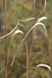 DSC_5112.jpg