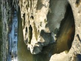 IMG_0035.jpg