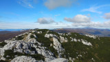 020_Risnjak-Lazac-Snjeznik.jpg